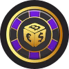 Playfina logo